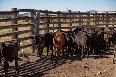 Bar Y Ranch and Pivots is a rare opportunity to acquire a - photo 12