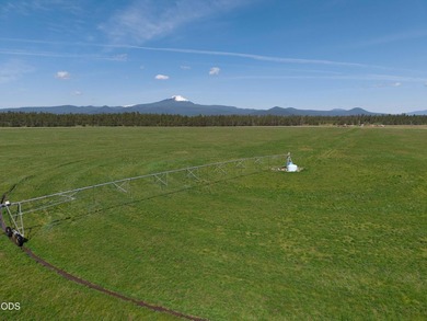 Bar Y Ranch and Pivots is a rare opportunity to acquire a - photo 13