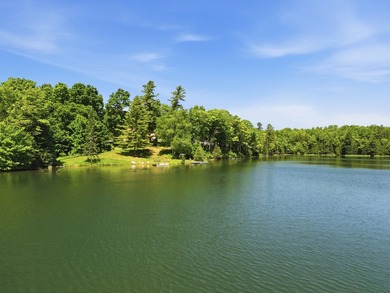 Halfway Lake Cottages is a turnkey waterfront resort on - photo 4