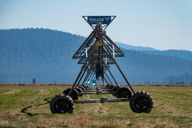 Bar Y Ranch and Pivots is a rare opportunity to acquire a - photo 15