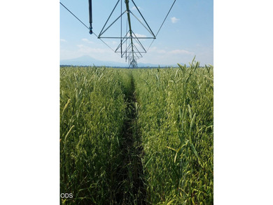 Bar Y Ranch and Pivots is a rare opportunity to acquire a - photo 19
