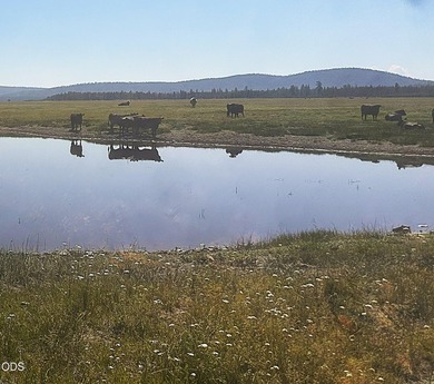 Bar Y Ranch and Pivots is a rare opportunity to acquire a - photo 21