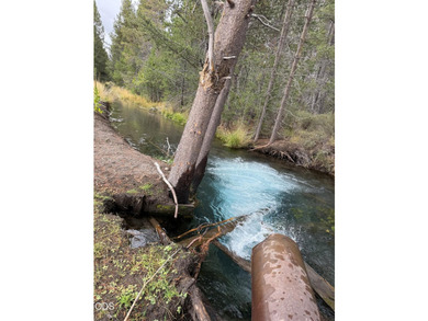 Bar Y Ranch and Pivots is a rare opportunity to acquire a - photo 24