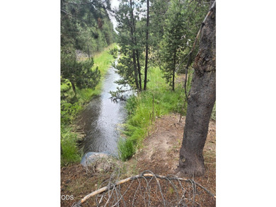 Bar Y Ranch and Pivots is a rare opportunity to acquire a - photo 25