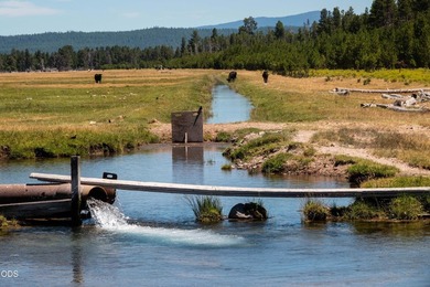 Bar Y Ranch and Pivots is a rare opportunity to acquire a - photo 26