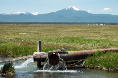Bar Y Ranch and Pivots is a rare opportunity to acquire a - photo 27