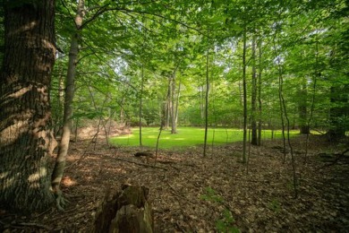 Lake Michigan - Manistee County Lot For Sale in Onekama Michigan