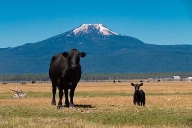 Bar Y Ranch and Pivots is a rare opportunity to acquire a - photo 42