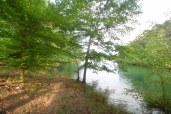 Gentle Sloping Smith Lake Lot Near Bankhead Nation - Lake Lot For Sale in Double Springs, Alabama