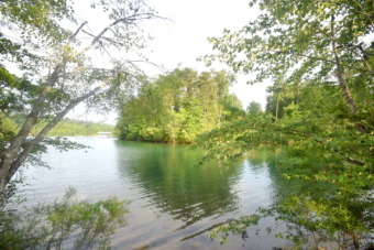 Lot On Smith Lake Near Bankhead National Forest - Lake Lot For Sale in Double Springs, Alabama