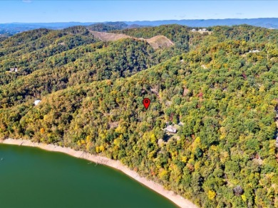 Dock-Able Cherokee Lakefront Lot - photo 22