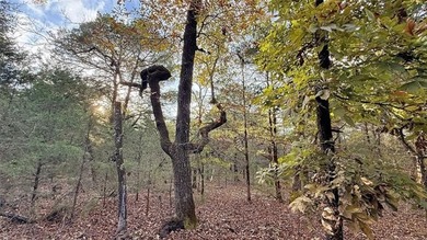 Lake Tenkiller Acreage Sale Pending in Cookson Oklahoma