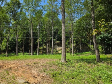 Land you can spread out on! - photo 7