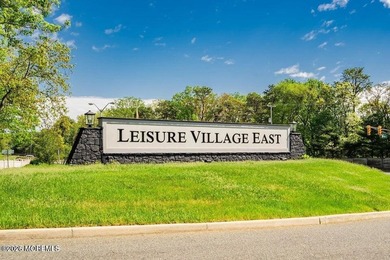 Welcome to the charming 55+ gated community of Leisure Village - photo 29