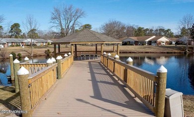 Welcome to the charming 55+ gated community of Leisure Village - photo 31