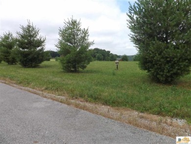 Lake Cumberland Lot For Sale in Russell Springs Kentucky