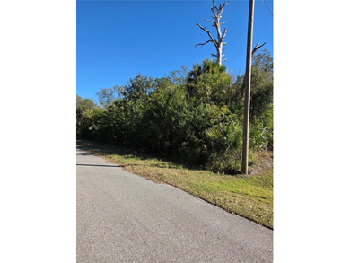 Port Charlotte Waterway Area Lot For Sale in Port Charlotte Florida