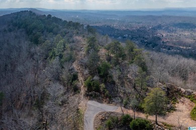 (private lake, pond, coastal) Acreage For Sale in Leeds Alabama