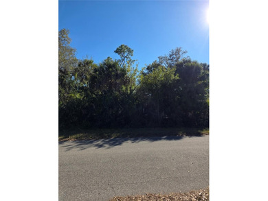Port Charlotte Waterway Area Lot For Sale in Port Charlotte Florida
