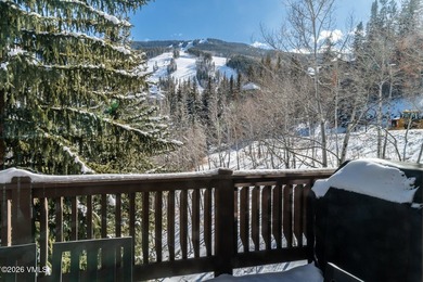 Set in one of Beaver Creek's most coveted ski-in/ski-out - photo 11