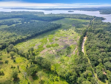 The 135.25-acre tract, recently planted with Elite Containerized - photo 11
