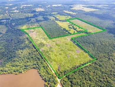 The 135.25-acre tract, recently planted with Elite Containerized - photo 12