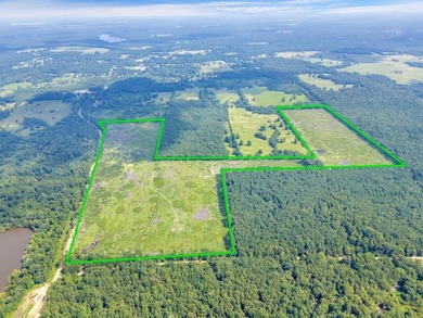 The 135.25-acre tract, recently planted with Elite Containerized - photo 13
