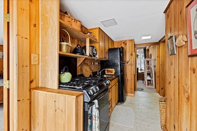 So many updates to this 1840's charmer! Nestled in the heart of - photo 13