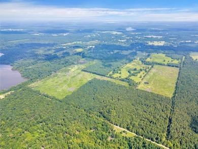 The 135.25-acre tract, recently planted with Elite Containerized - photo 14