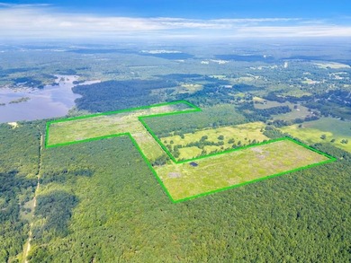 The 135.25-acre tract, recently planted with Elite Containerized - photo 15
