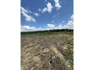 The 135.25-acre tract, recently planted with Elite Containerized - photo 18