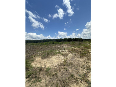 The 135.25-acre tract, recently planted with Elite Containerized - photo 20