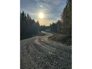 (private lake, pond, coastal) Lot For Sale in Greenville Maine