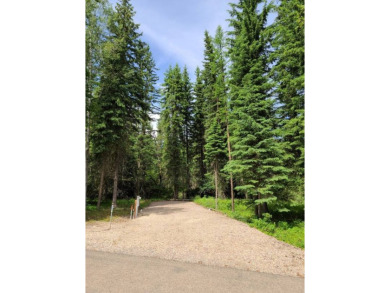 Lake Lot For Sale in Bigfork, Montana