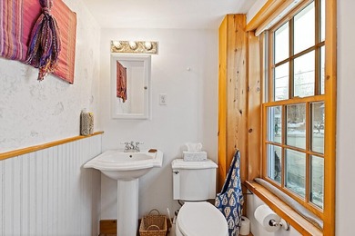 So many updates to this 1840's charmer! Nestled in the heart of - photo 30