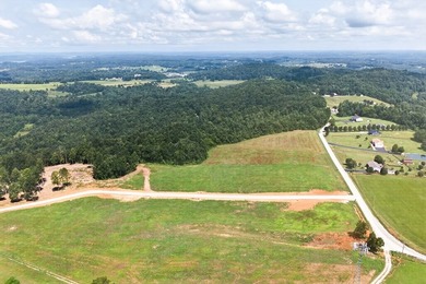 Discover Sandstone Heights, Pickett County's newest premier - photo 9