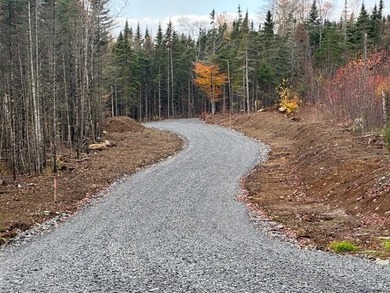 (private lake, pond, coastal) Lot For Sale in Greenville Maine