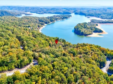 Dock-Able Cherokee Lakefront Lot - photo 18