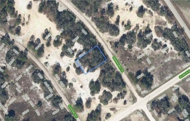 Lake Lot For Sale in Lake Placid, Florida
