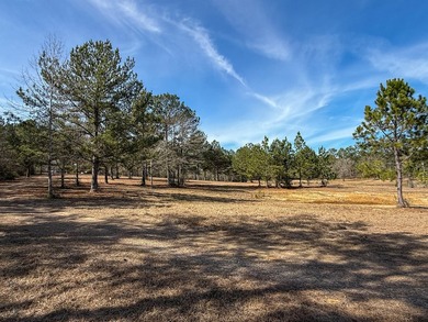 Additional listing photo 1