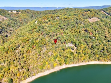 Dock-Able Cherokee Lakefront Lot - photo 21