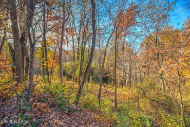 Tennessee River - Blount County Acreage Sale Pending in Louisville Tennessee