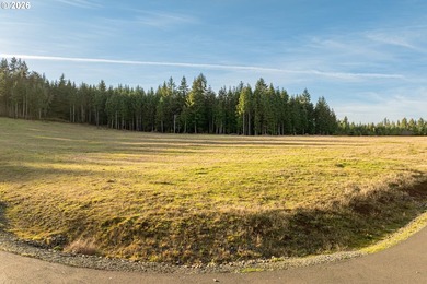 Silver Lake - Cowlitz County Lot For Sale in Castlerock Washington