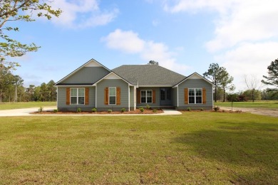 Lake Home For Sale in Naylor, Georgia