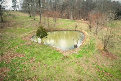 Tucked away on 5 fully fenced acres, this unique 3-bed, 2-bath - photo 3