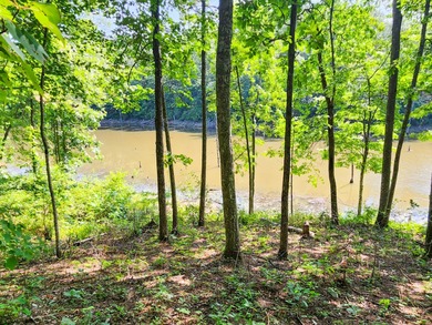 (private lake, pond, creek) Acreage For Sale in Helenwood Tennessee