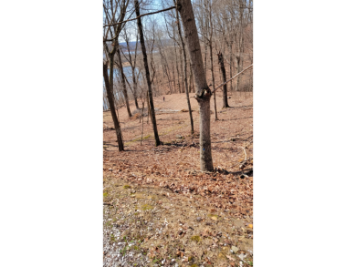 Dock-Able Cherokee Lakefront Lot - photo 3