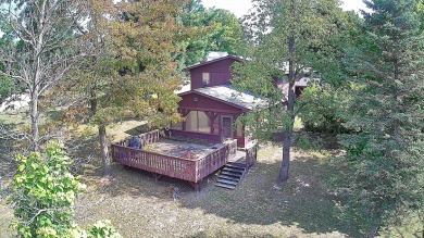 Lake Home For Sale in Evart, Michigan