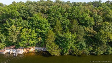 One of a kind property! Boasting 115 feet of Lakefront on the - photo 13