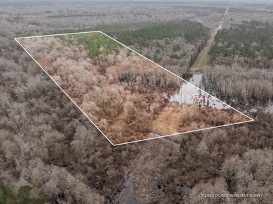 Leaf River Lot For Sale in Mc Lain Mississippi